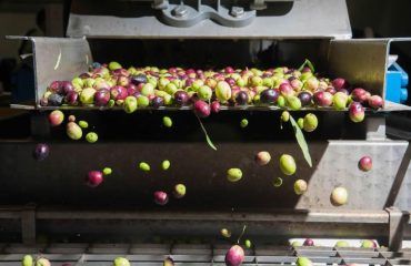 f627d227-b036-b011-fb00-8dbd75e3512e