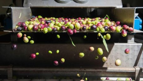 f627d227-b036-b011-fb00-8dbd75e3512e